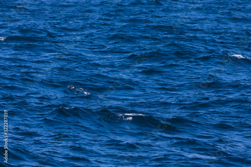 Surface of a calm blue sea. Selective focus. Shallow depth of field