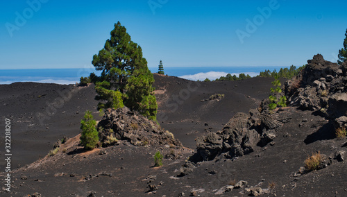 Wonderful views of the nature of Tenerife