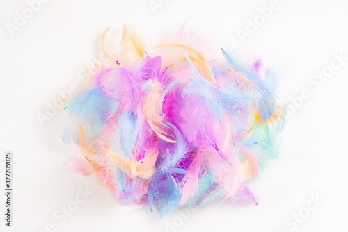 Colorful feather background, isolated on white.