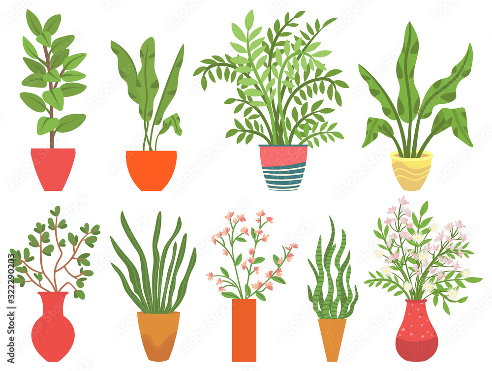 Flowers in vases, floral decor for home flat style flourishing on branches, plant with frondage, tender and elegant design, container interior. Isolated flowerpot with blooming plant . Vector in flat