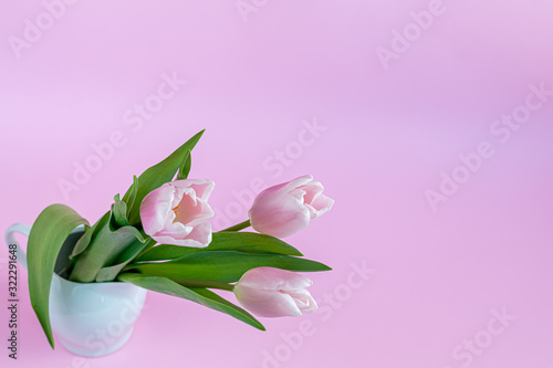 Fototapeta Naklejka Na Ścianę i Meble -  Bouquet of pink tulips for the holidays. Women's Day, Valentine's Day, name day. On a pink background.