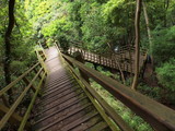 河津七滝の木製階段