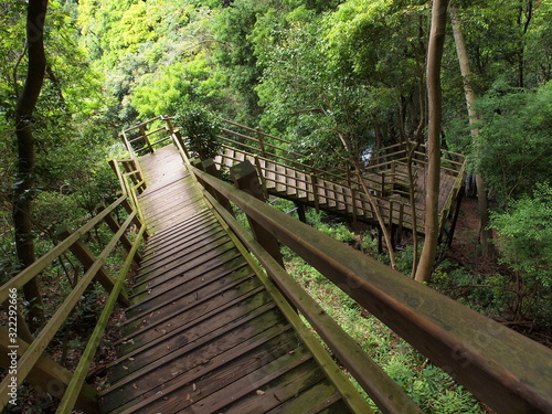 河津七滝の木製階段