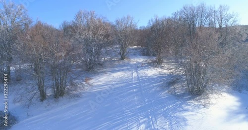 Aerial view in a mountain forest. Winter landscape. Fly over frozen snowy fir and pine trees. Nature concept.