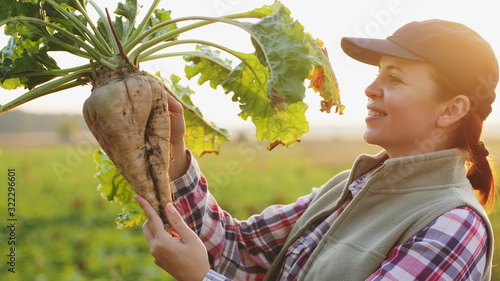 Fotografía A female farmer holding ripe sugar beet
