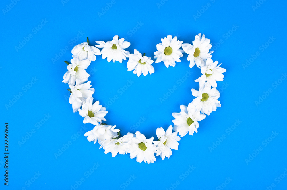 Fresh flowers in the shape of a heart on a blue background. View from above. Natural cosmetic. place to record. forming a heart shape on a blue wooden background with copy space: spring time concept -