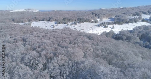 Aerial view in a mountain forest. Winter landscape. Fly over frozen snowy fir and pine trees. Nature concept.