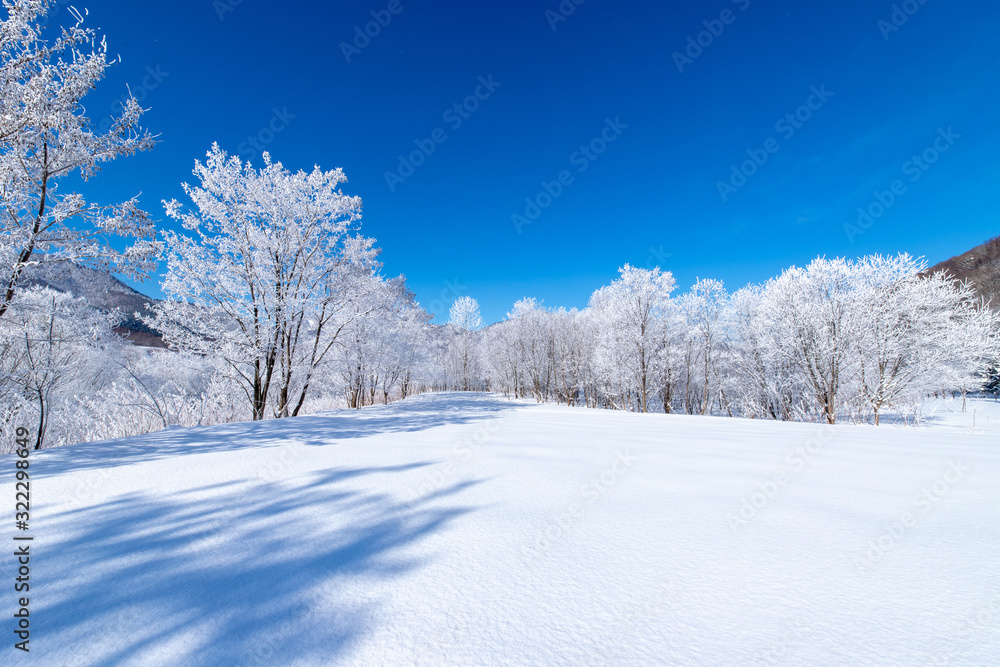 Obraz premium 北海道の冬の風景 富良野の樹氷