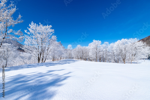 北海道の冬の風景 富良野の樹氷