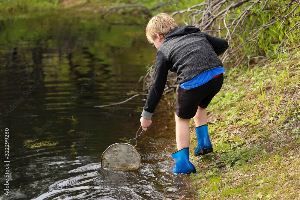 Young boy catching tadpoles in natural water hole with net and