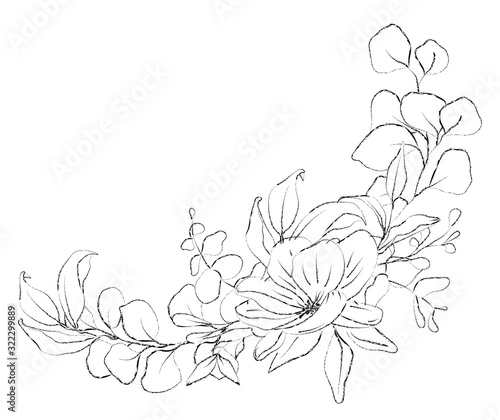 Wallpaper Mural Botanical sketched floral bouquet. Line art hand drawn plant Torontodigital.ca