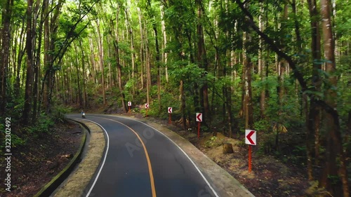 Motorbike or moped drive narrow asphalt road in a dense jungle forest. Man-made forest, Philippines, Bohol photo