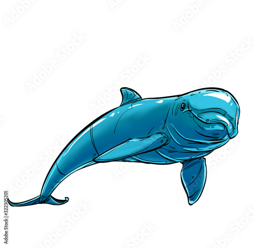 Dolphin isolated on a white background.