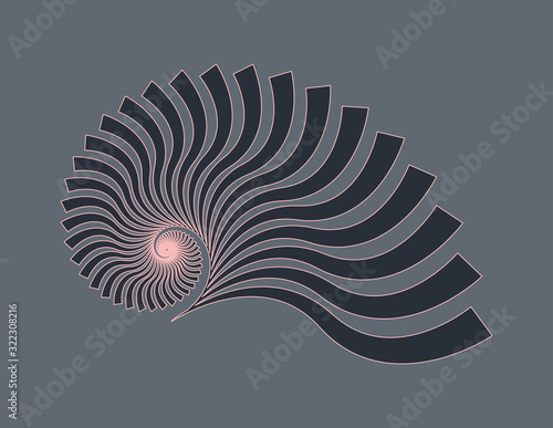 nautilus fossil stylized pink gray
