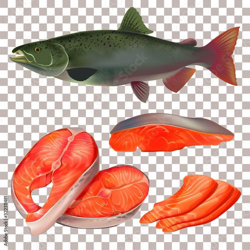 Set of trout fish fillets on a transparent background. Vector. EPS 10