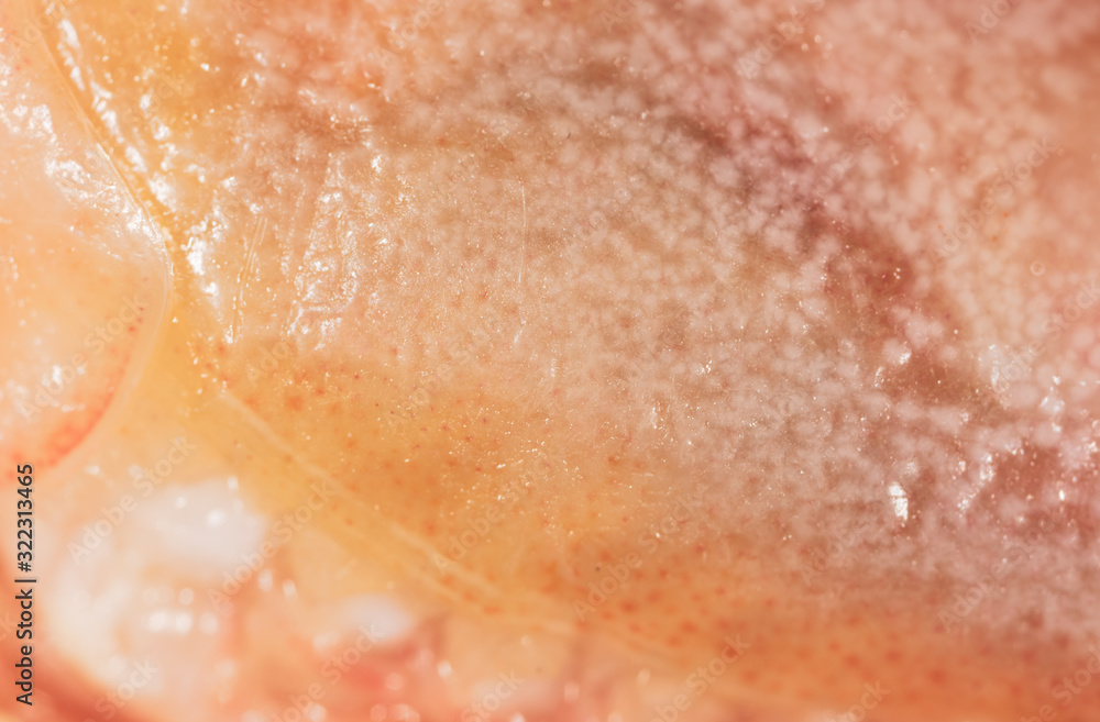 Fototapeta premium Red shell of shrimp as a background