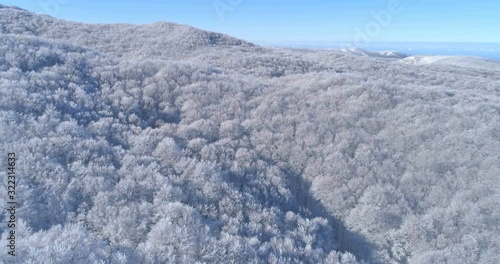 Wallpaper Mural Aerial view in a mountain forest. Winter landscape. Fly over frozen snowy fir and pine trees. Nature concept. Torontodigital.ca