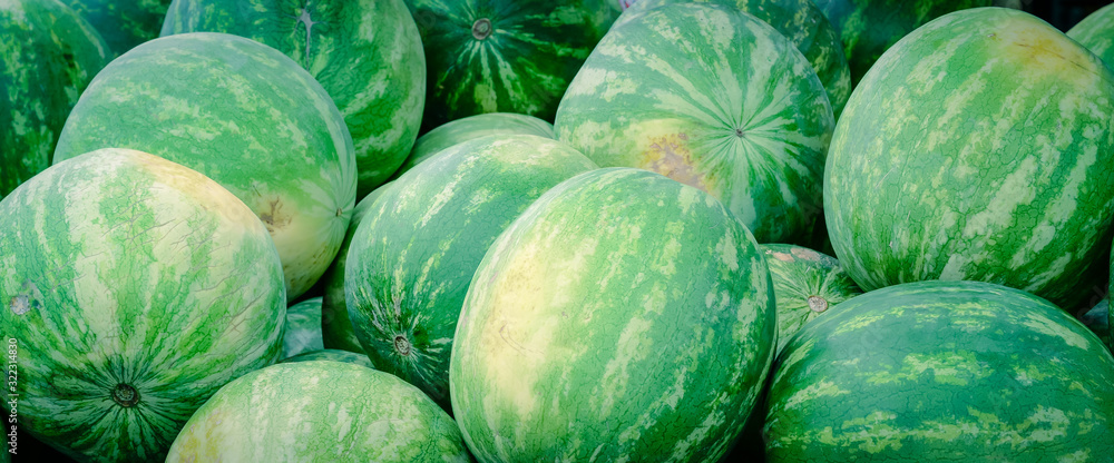 Panoramic background bunch of raw whole watermelons at farmer market in America