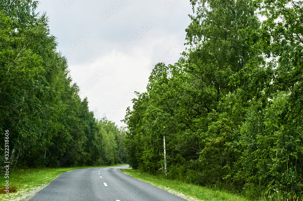 Asphalt road goes in forest
