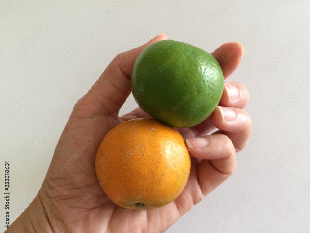 Orange and green lemons in the hands on a white background Orange and green lemons in the hands on a white background