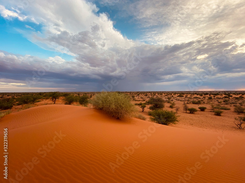 Kalahariwüste, Namibia photo