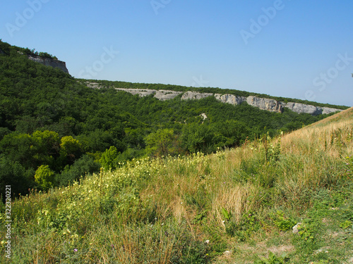 The mountain slope is covered with dense green vegetation, small yellow flowers are visible in the foreground.