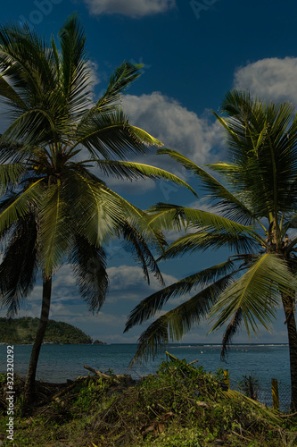 Traumlandschaft auf der karibischen Seite in Panama  mit Kokospalmen und einem einsamen Steg. Fernweh ruft