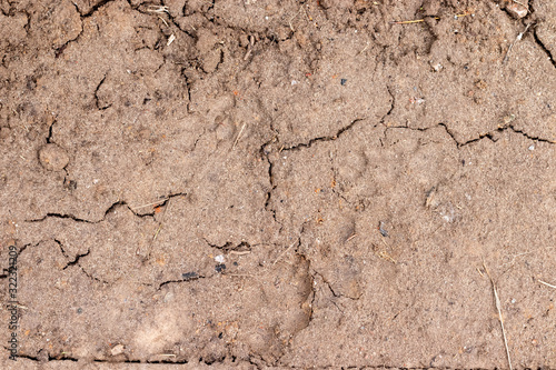 Wet moist ground with cracks and dry twigs. Natural texture background after rain