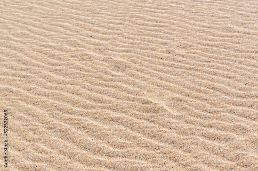 Wrinkled dune texture close up Wrinkled dune texture close up