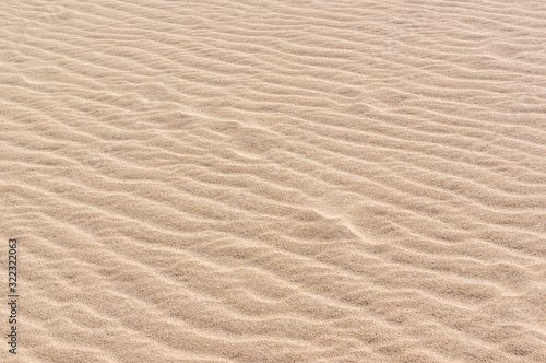 Wrinkled dune texture close up