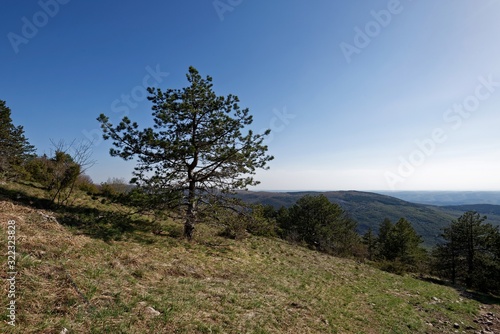 Slowenien - Istrien - Berg Slavnik - Wanderweg von Podgorje photo