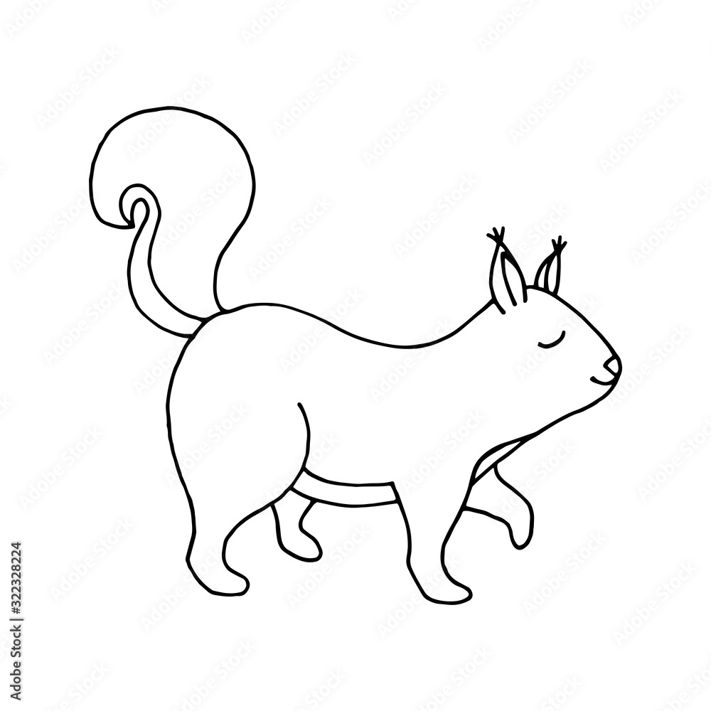Cute squirrel design element. Сoncept nature, wildlife. Hand drawn vector illustration in doodle style outline drawing isolated on white background. Cute squirrel design element. Сoncept nature, wildlife. Hand drawn vector illustration in doodle style outline drawing isolated on white background.