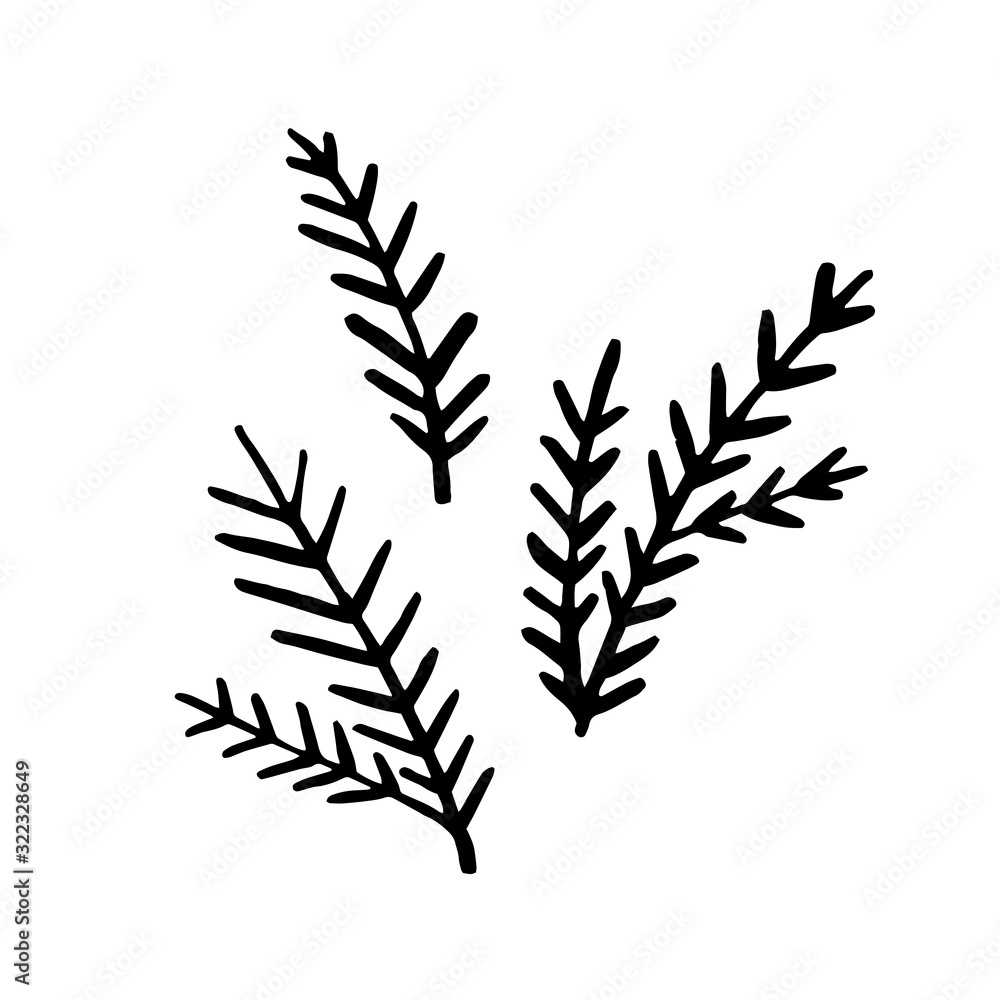 Naklejka premium Spruce, pine, fir tree branches design elements. Сoncept nature, Christmas, holidays. Hand drawn vector illustration in doodle style outline drawing isolated on white background.