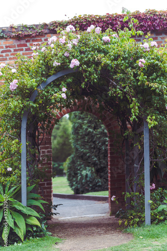 Royal Tasmanian Botanical Gardens (Hobart) photo