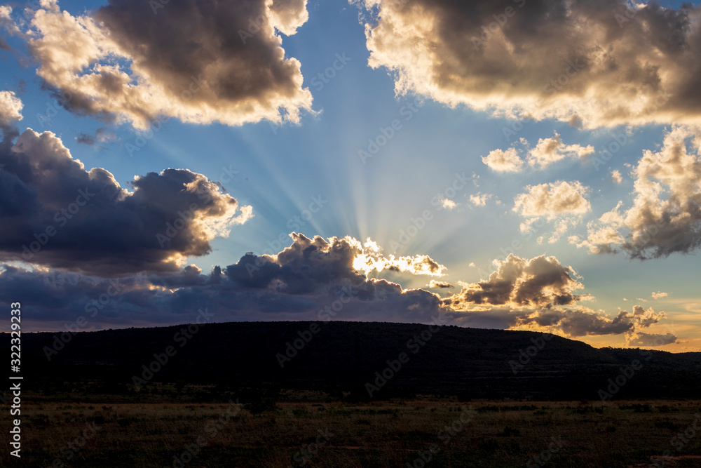 Obraz premium African Savanna Landscape, Natural Park