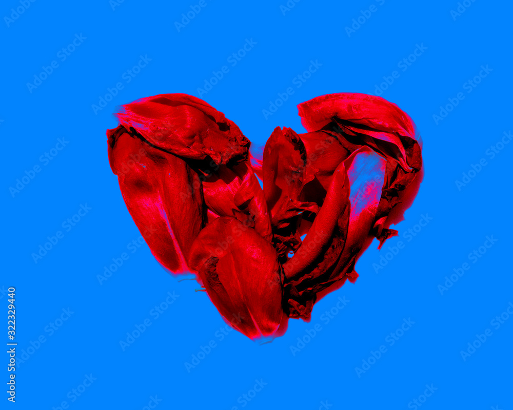 heart of the red petals isolated on blue heart of the red petals isolated on blue