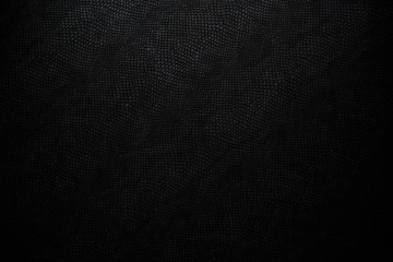 black snake skin texture for background
