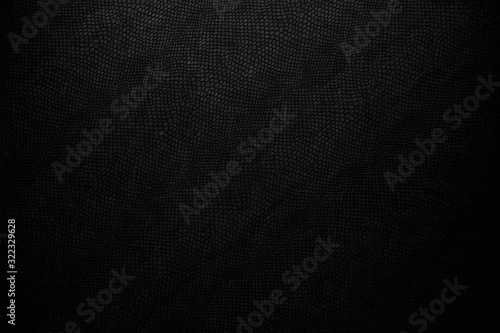 black snake skin texture for background photo