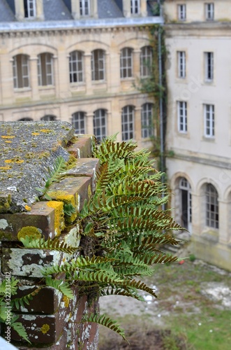 fougeres