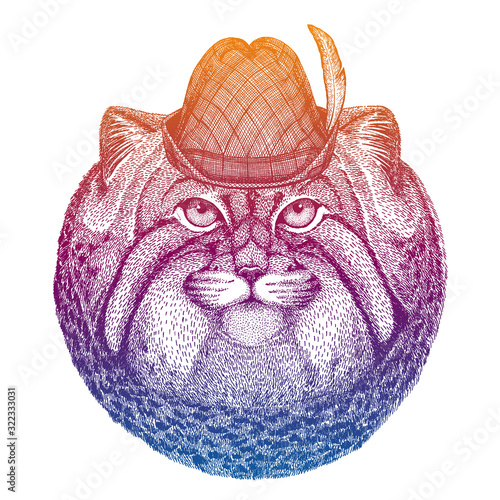 Vector cat, manul. Bavarian traditional hat. Tirol austrian hat. Beer Oktoberfest character portrait.