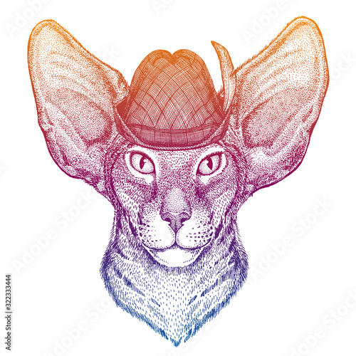 Vector cat. Bavarian traditional hat. Tirol austrian hat. Beer Oktoberfest character portrait.