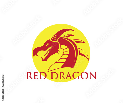 simple vector dragon design logo
