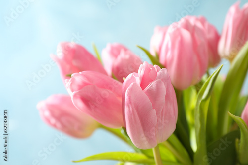 Beautiful pink tulips with green leaves, close up