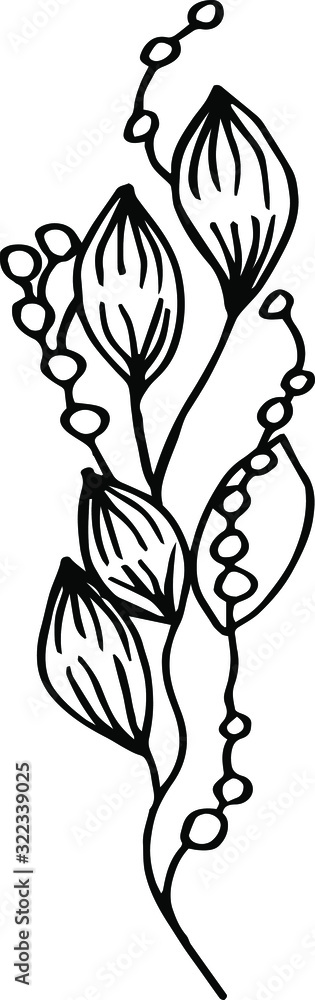 Obraz premium Unusual flower plants in vector drawn by hands. For cover design, notebook, packaging, scrapbooking, things, poster, poster, fabric.
