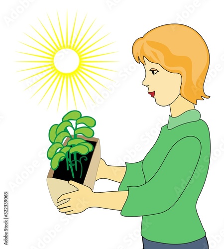 female gardener with green seedlings. cottager. sprouts under the sun. dacha season. Seedlings in a box. flower girl.