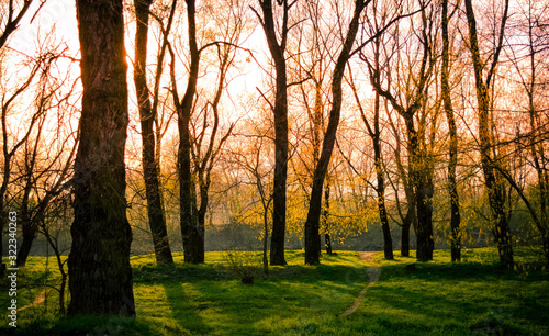 Autumn in the park