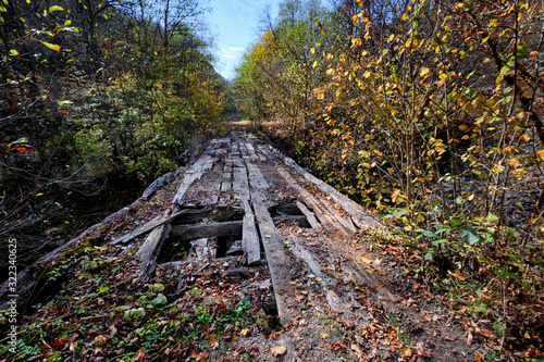 the road in the autumn forestthe road in the autumn forest through the old ruined bridge through the old ruined bridge photo