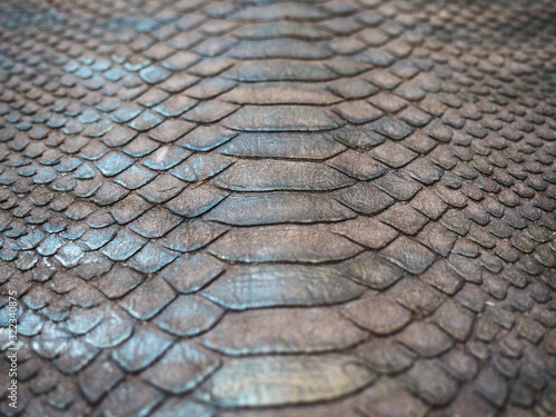 natural reptile skin texture