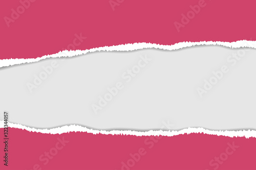 Wallpaper Mural Vector of ripped paper. The paper was ripped background. Torontodigital.ca