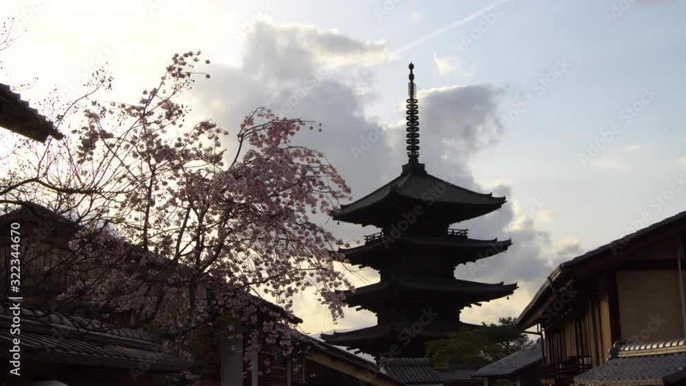 Cherry blossom or sakura at Yasaka Pagoda in Kyoto, Japan Cherry blossom or sakura at Yasaka Pagoda in Kyoto, Japan